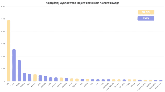 Wizy - czego szukają Polacy?